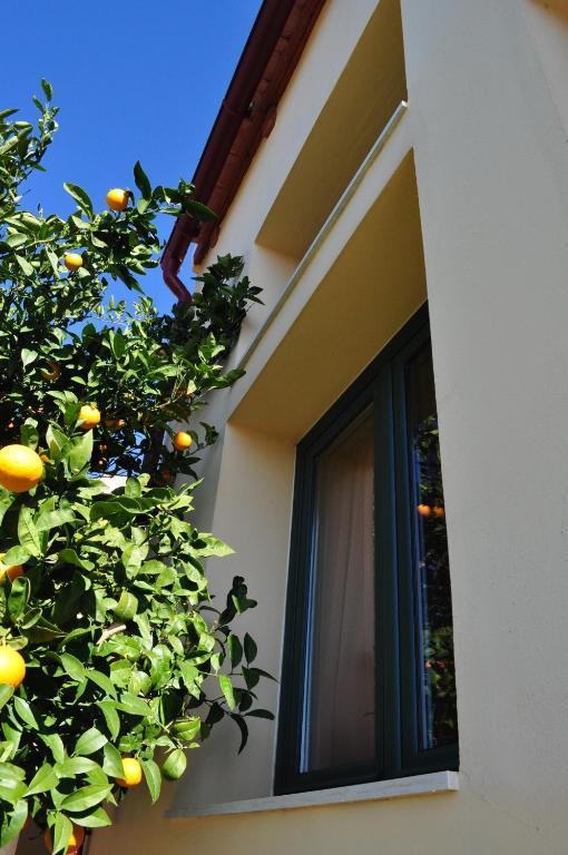 Nana Apartments Ζαρός Εξωτερικό φωτογραφία